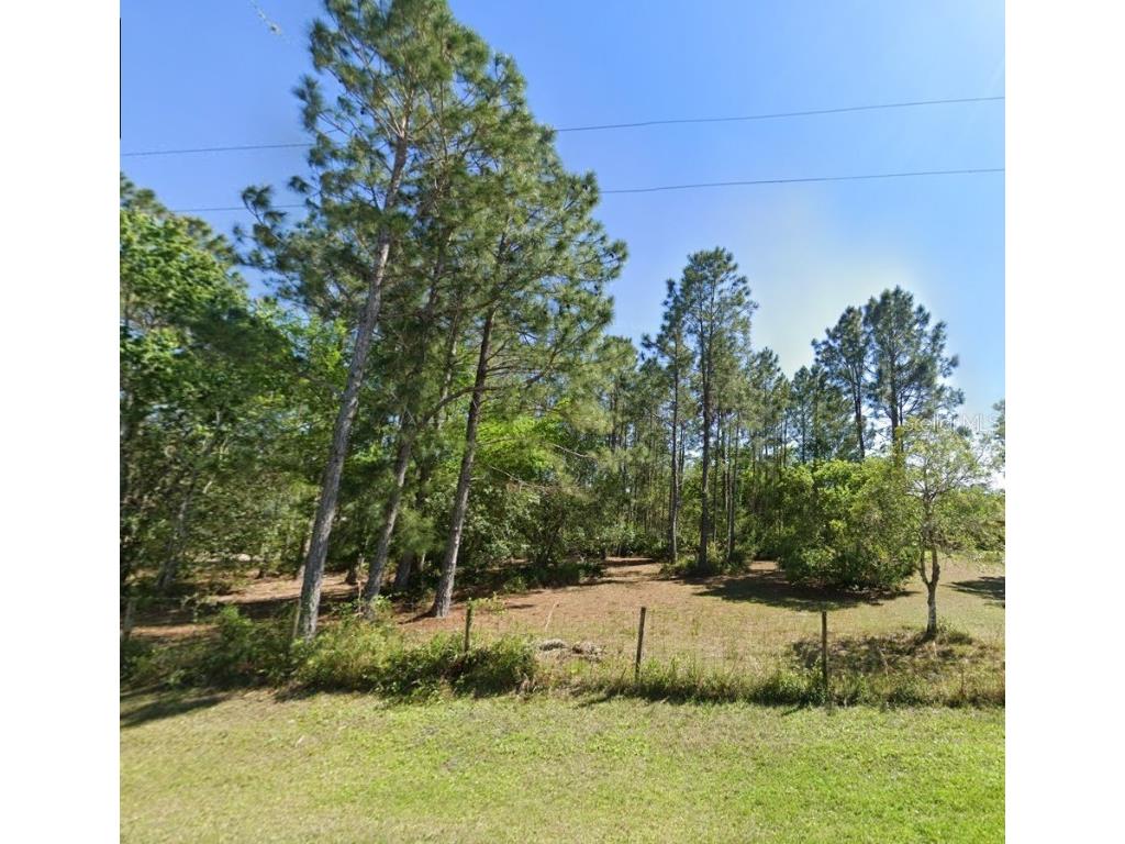 26300 Pheasant Run Wesley Chapel FL 33544 O6341052 image1