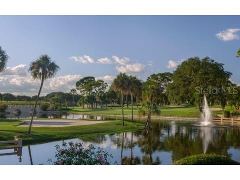 26301 Avenida Las Colinas Howey In The Hills FL 34737 G5112005 image76