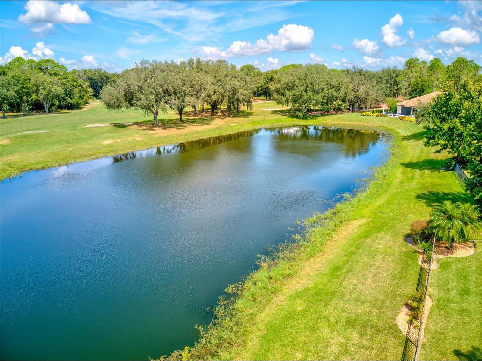 26301 Avenida Las Colinas Howey In The Hills FL 34737 G5112005 image9