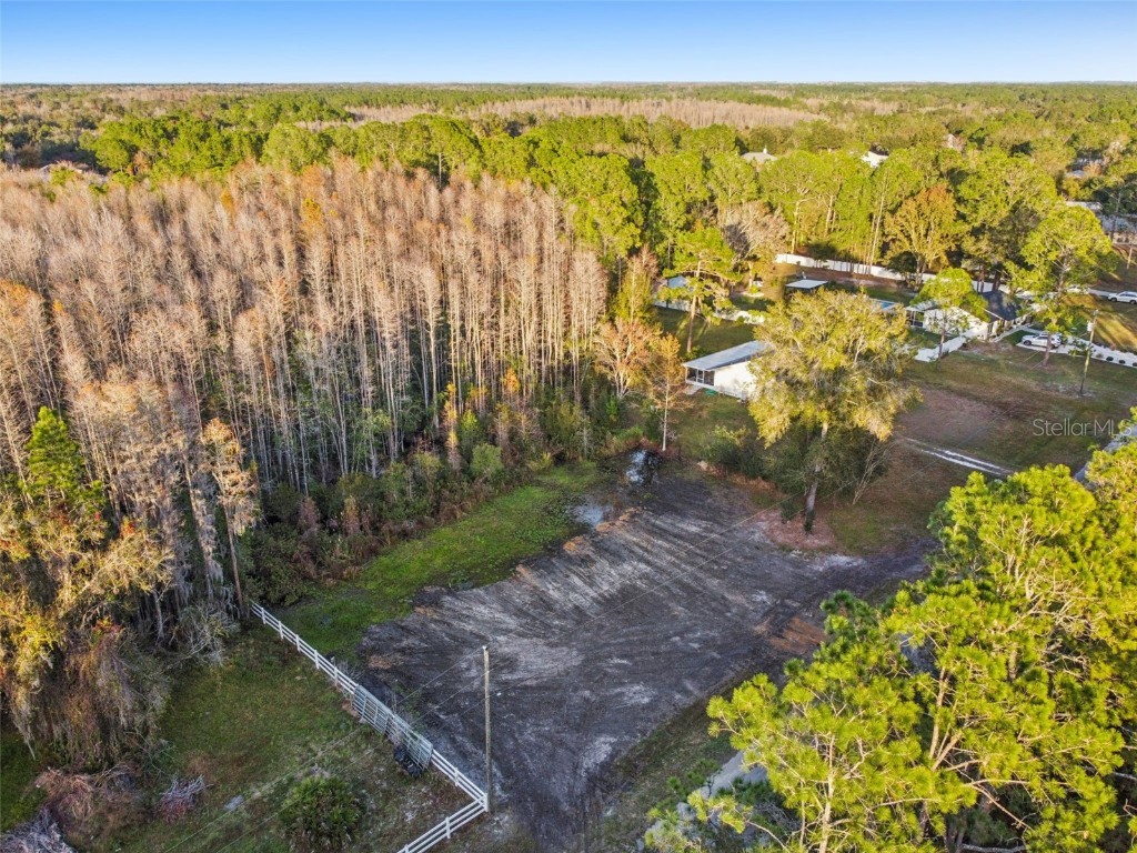 26305 Bluestripe Drive Wesley Chapel FL 33544 TB8460351 image1