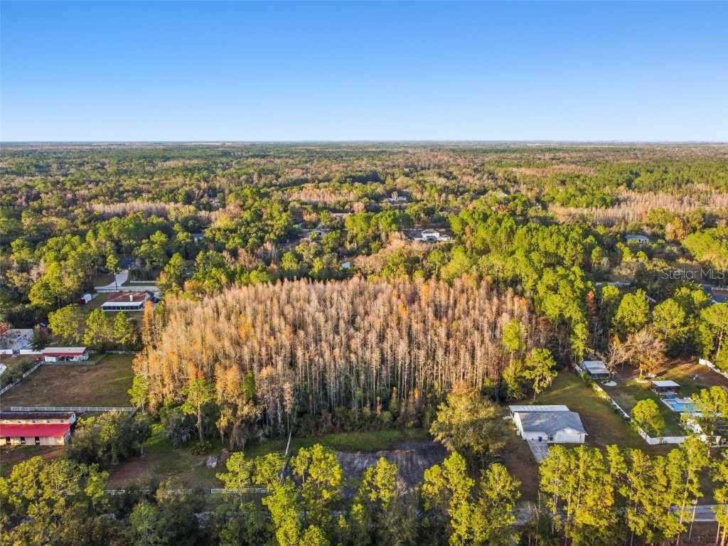 26305 Bluestripe Drive Wesley Chapel FL 33544 TB8460351 image10