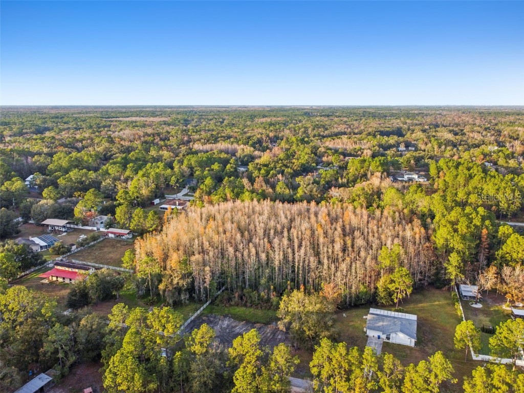 26305 Bluestripe Drive Wesley Chapel FL 33544 TB8460351 image11