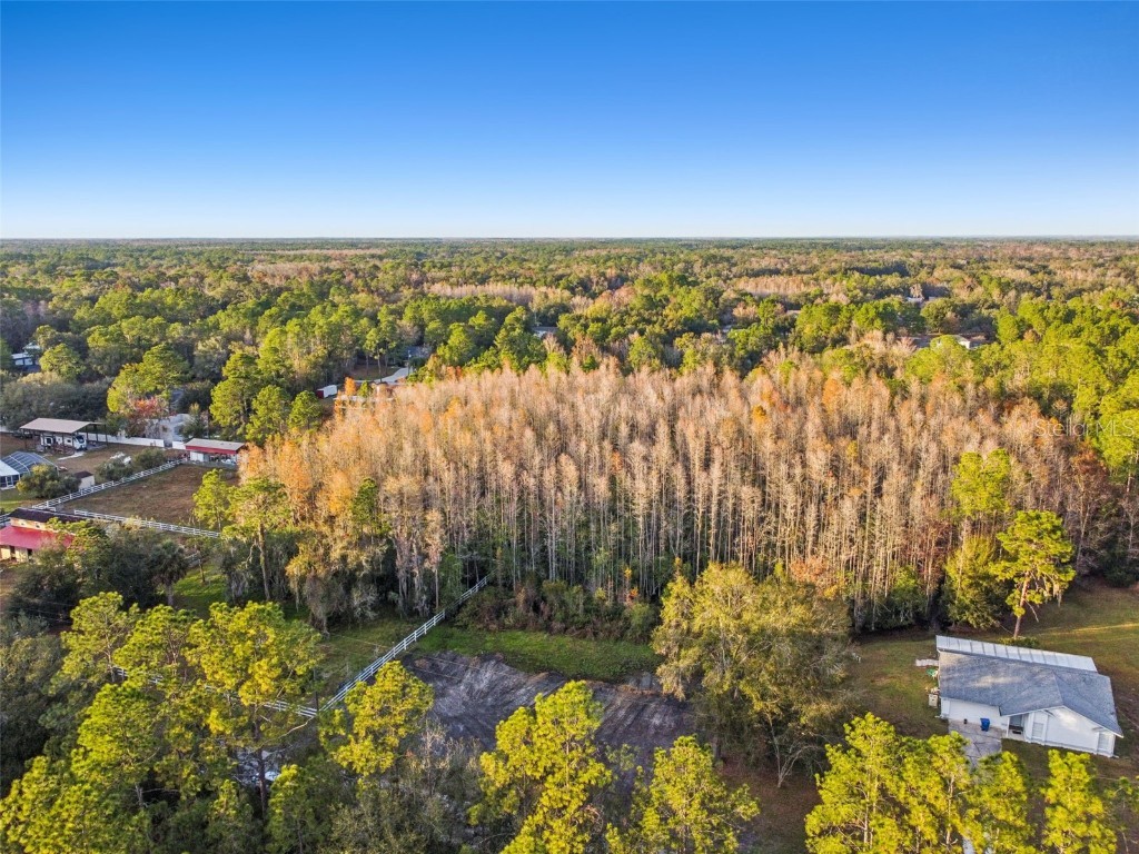 26305 Bluestripe Drive Wesley Chapel FL 33544 TB8460351 image12