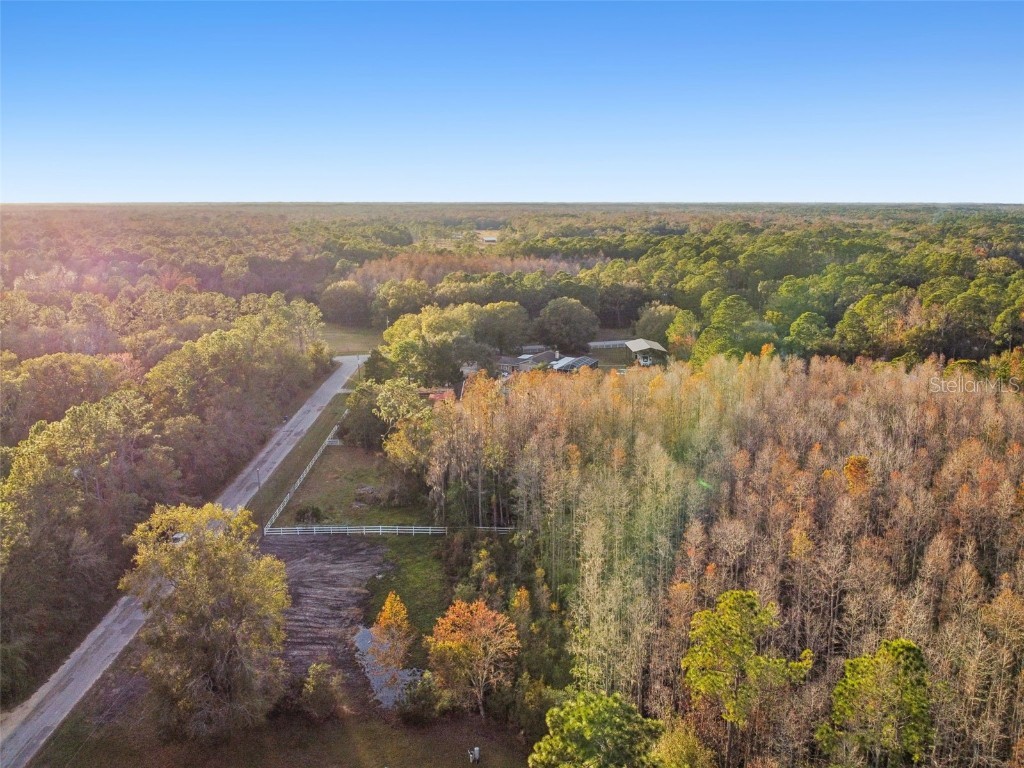 26305 Bluestripe Drive Wesley Chapel FL 33544 TB8460351 image13