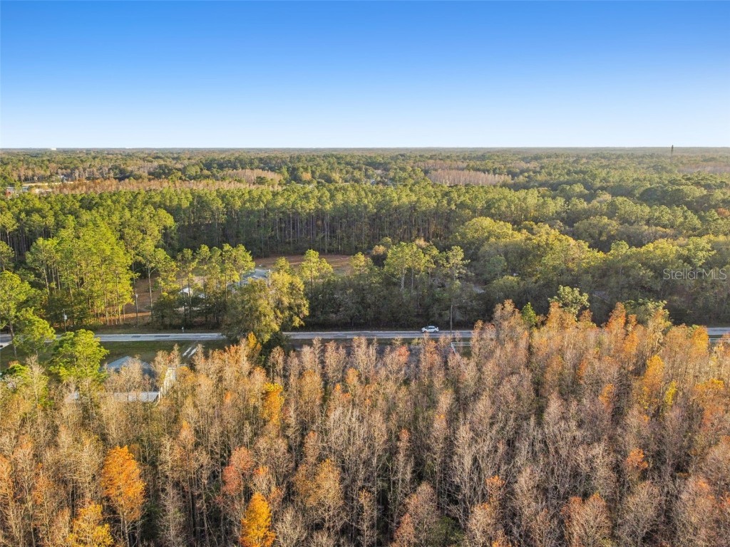 26305 Bluestripe Drive Wesley Chapel FL 33544 TB8460351 image14