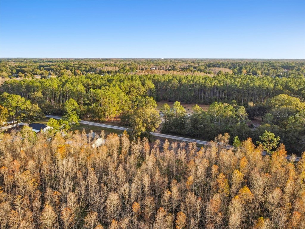 26305 Bluestripe Drive Wesley Chapel FL 33544 TB8460351 image15