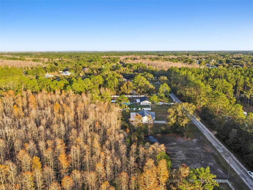 26305 Bluestripe Drive Wesley Chapel FL 33544 TB8460351 image16