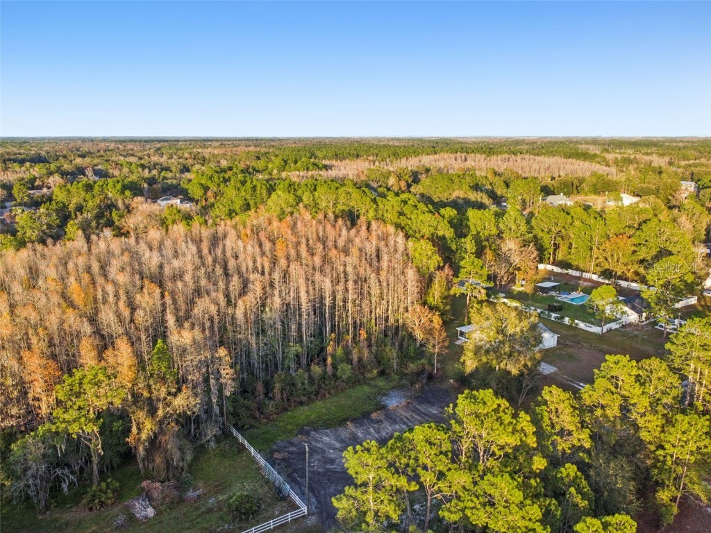 26305 Bluestripe Drive Wesley Chapel FL 33544 TB8460351 image17