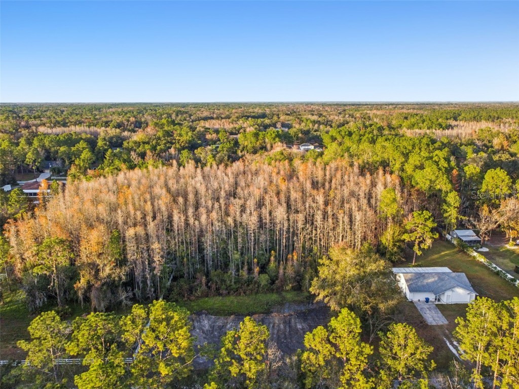 26305 Bluestripe Drive Wesley Chapel FL 33544 TB8460351 image18