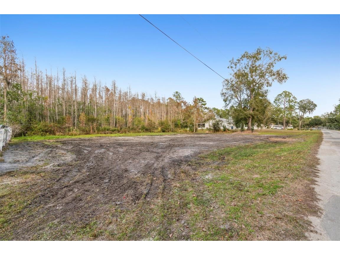 26305 Bluestripe Drive Wesley Chapel FL 33544 TB8460351 image20