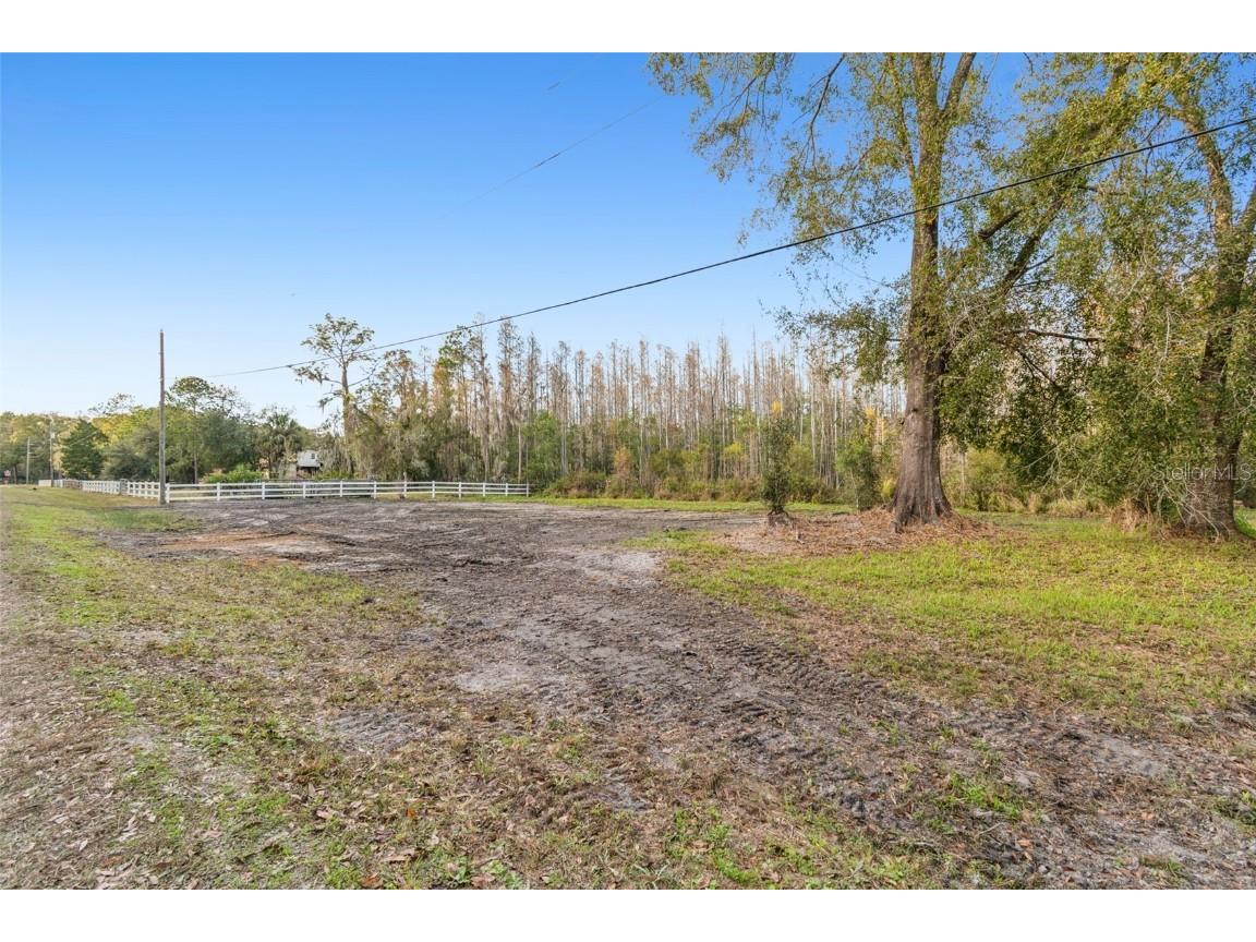 26305 Bluestripe Drive Wesley Chapel FL 33544 TB8460351 image22