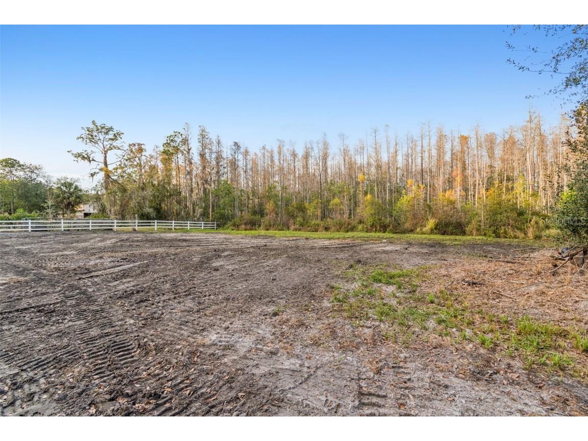 26305 Bluestripe Drive Wesley Chapel FL 33544 TB8460351 image23