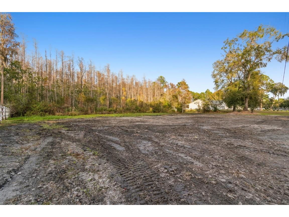 26305 Bluestripe Drive Wesley Chapel FL 33544 TB8460351 image24