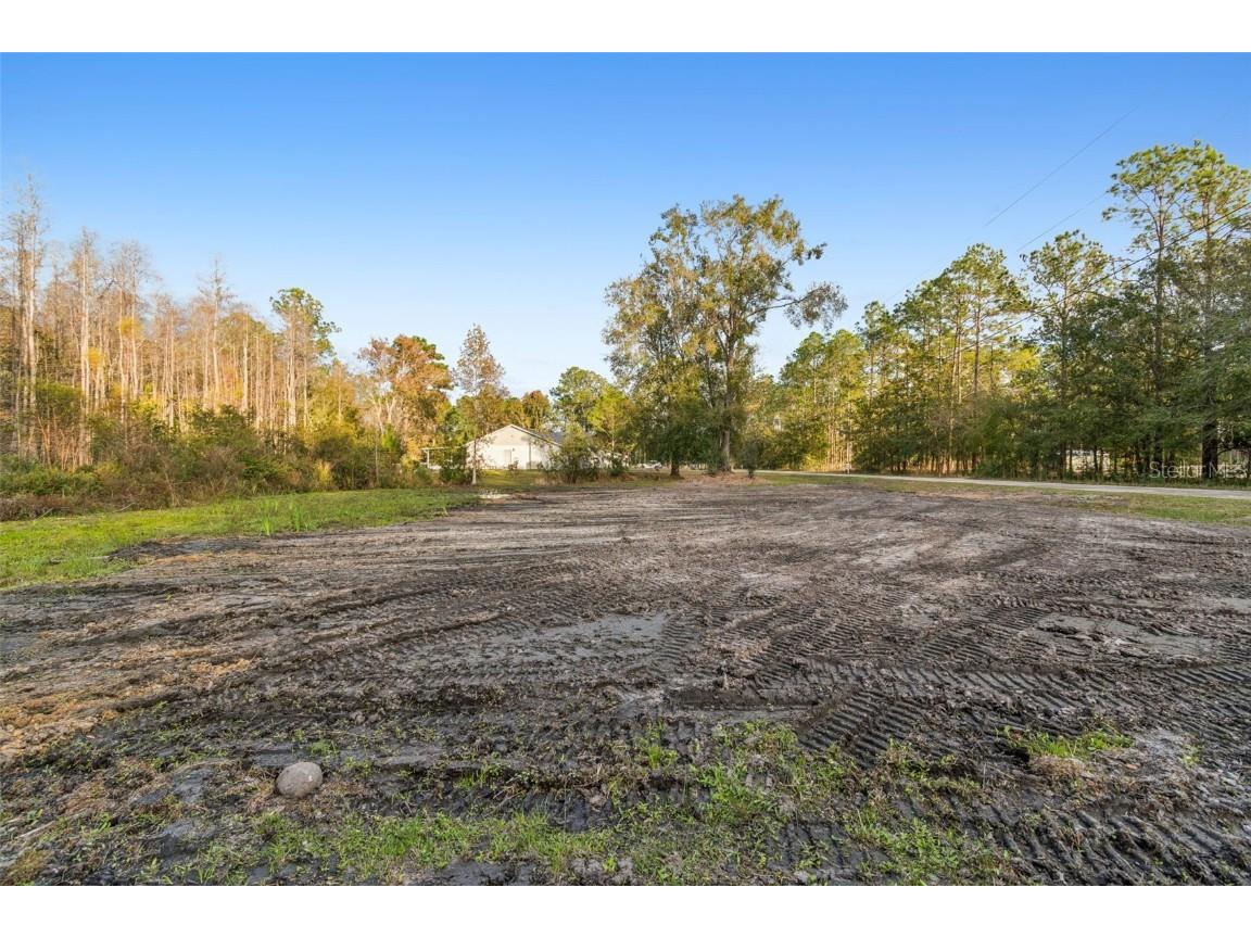 26305 Bluestripe Drive Wesley Chapel FL 33544 TB8460351 image25