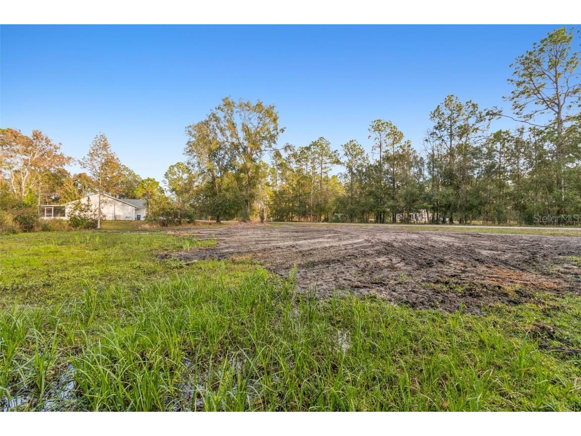 26305 Bluestripe Drive Wesley Chapel FL 33544 TB8460351 image26