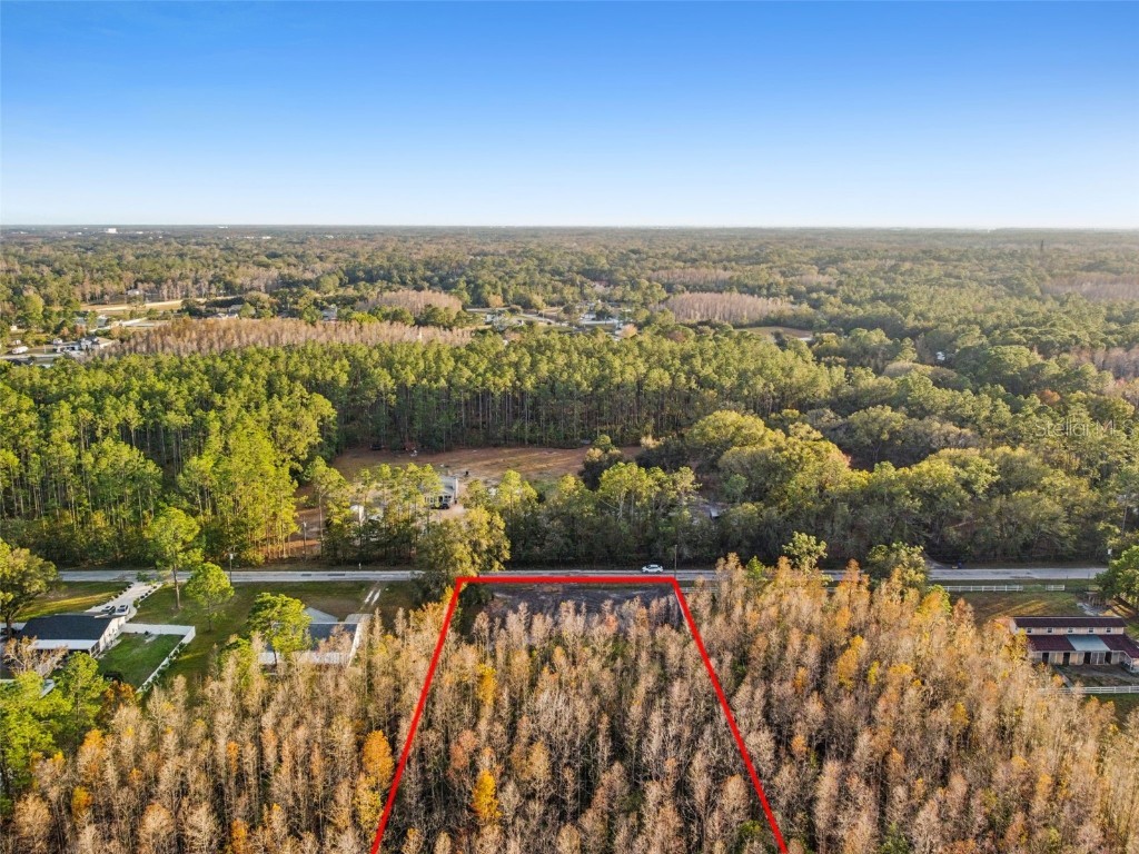 26305 Bluestripe Drive Wesley Chapel FL 33544 TB8460351 image27