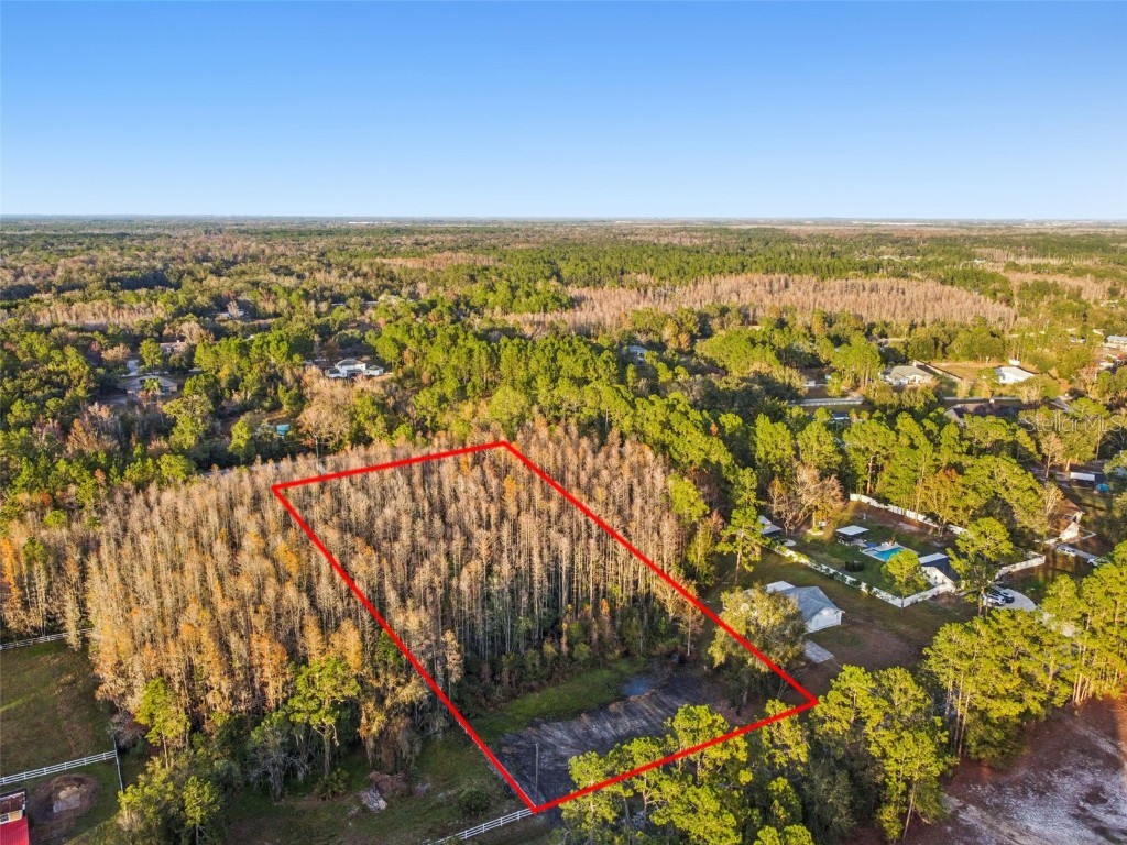 26305 Bluestripe Drive Wesley Chapel FL 33544 TB8460351 image28