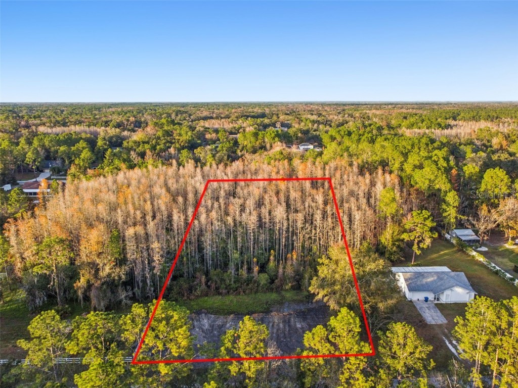 26305 Bluestripe Drive Wesley Chapel FL 33544 TB8460351 image29