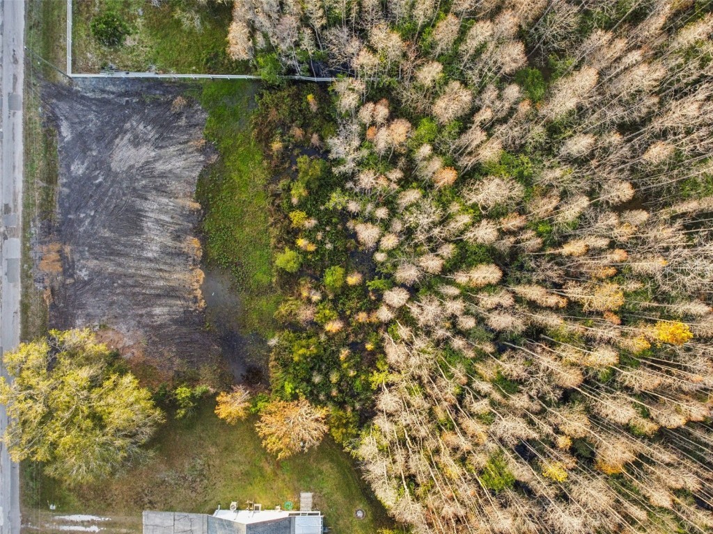 26305 Bluestripe Drive Wesley Chapel FL 33544 TB8460351 image4