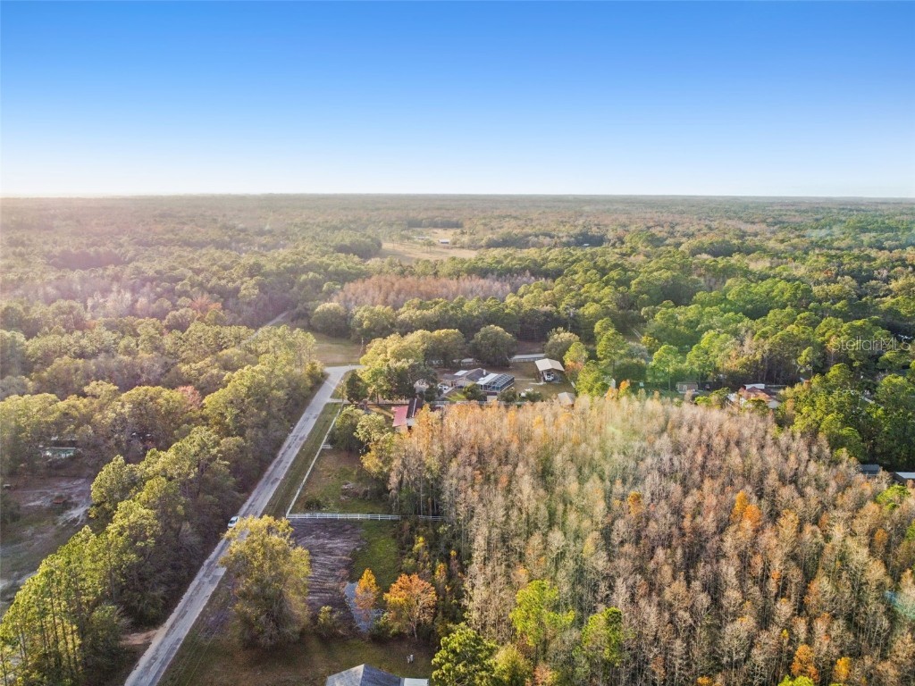 26305 Bluestripe Drive Wesley Chapel FL 33544 TB8460351 image5