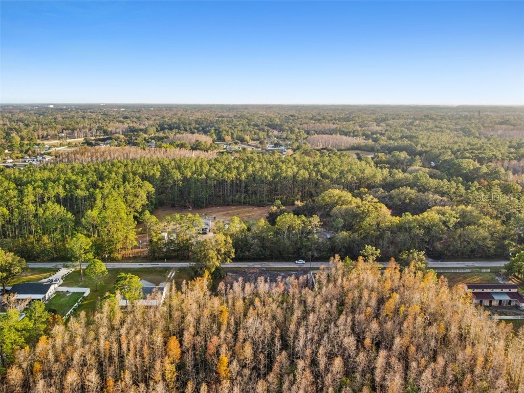 26305 Bluestripe Drive Wesley Chapel FL 33544 TB8460351 image6