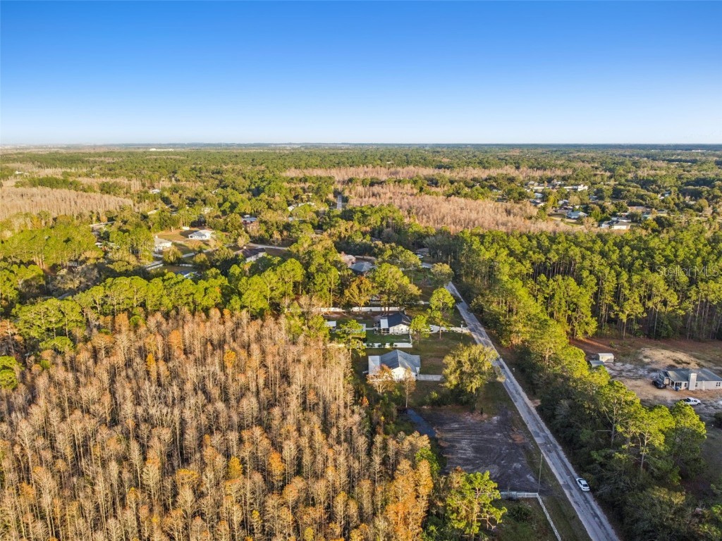 26305 Bluestripe Drive Wesley Chapel FL 33544 TB8460351 image8