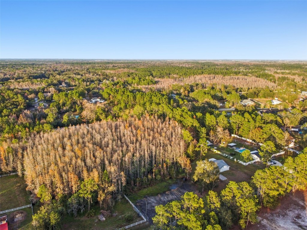 26305 Bluestripe Drive Wesley Chapel FL 33544 TB8460351 image9