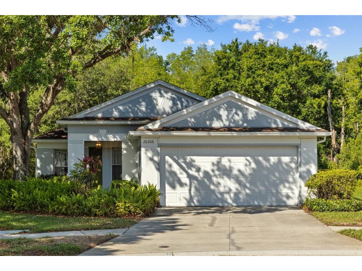 26306 Whirlaway Terrace Wesley Chapel FL 33544 TB8375331 image1