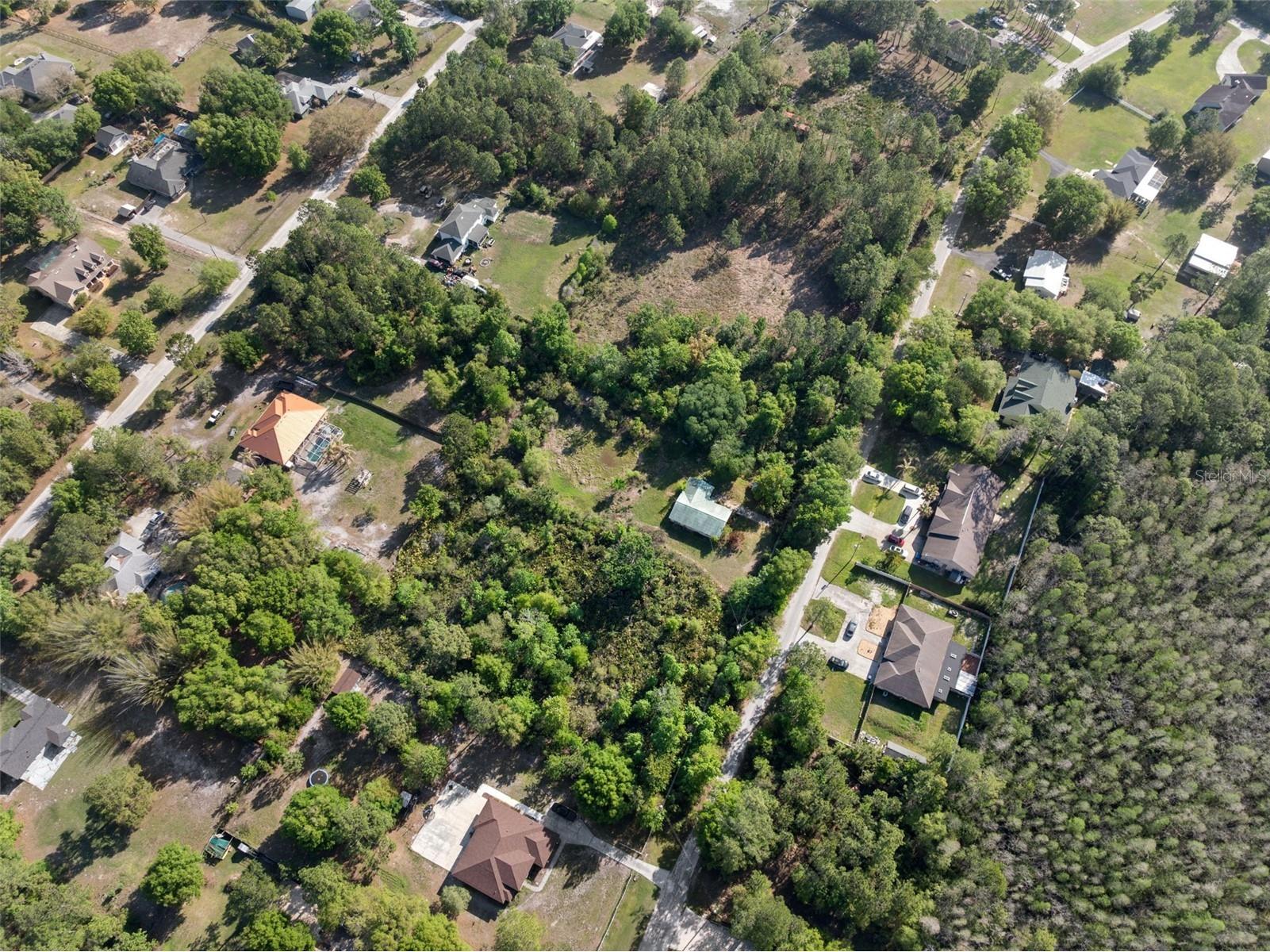 26307 Lawrence Avenue Wesley Chapel FL 33544 TB8492626 image5