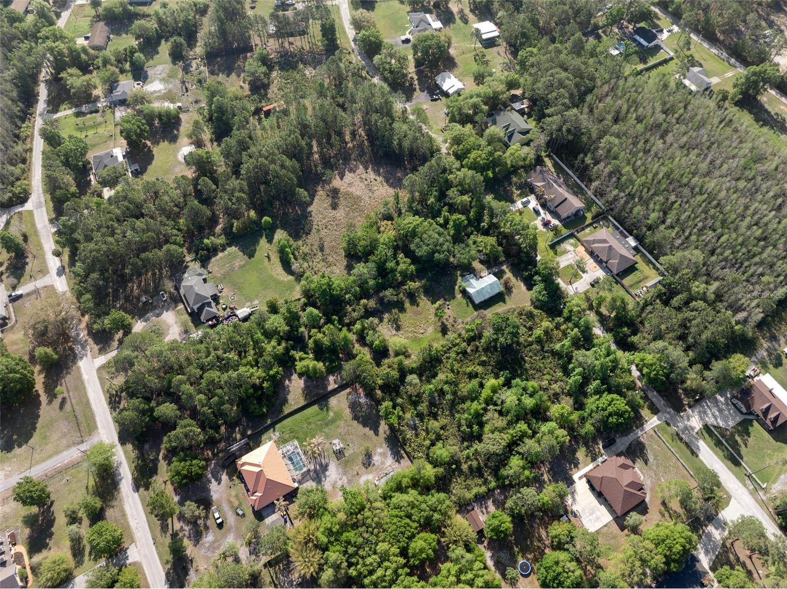 26307 Lawrence Avenue Wesley Chapel FL 33544 TB8492626 image6