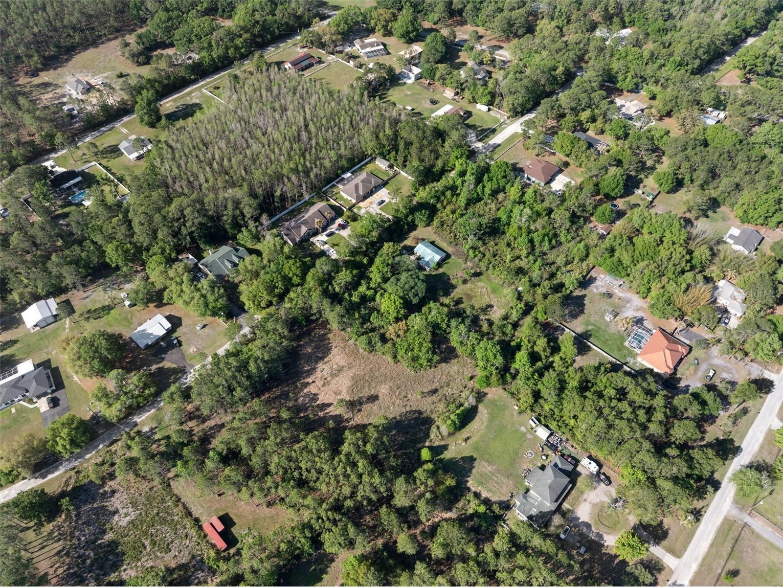 26307 Lawrence Avenue Wesley Chapel FL 33544 TB8492626 image7