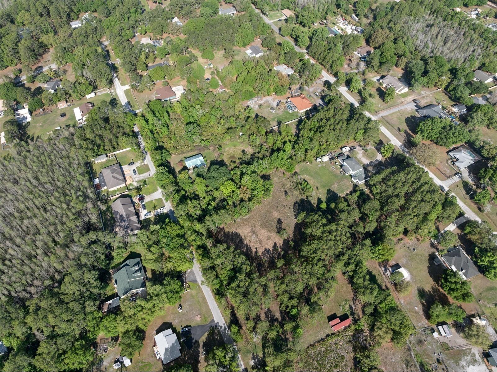26307 Lawrence Avenue Wesley Chapel FL 33544 TB8492626 image8