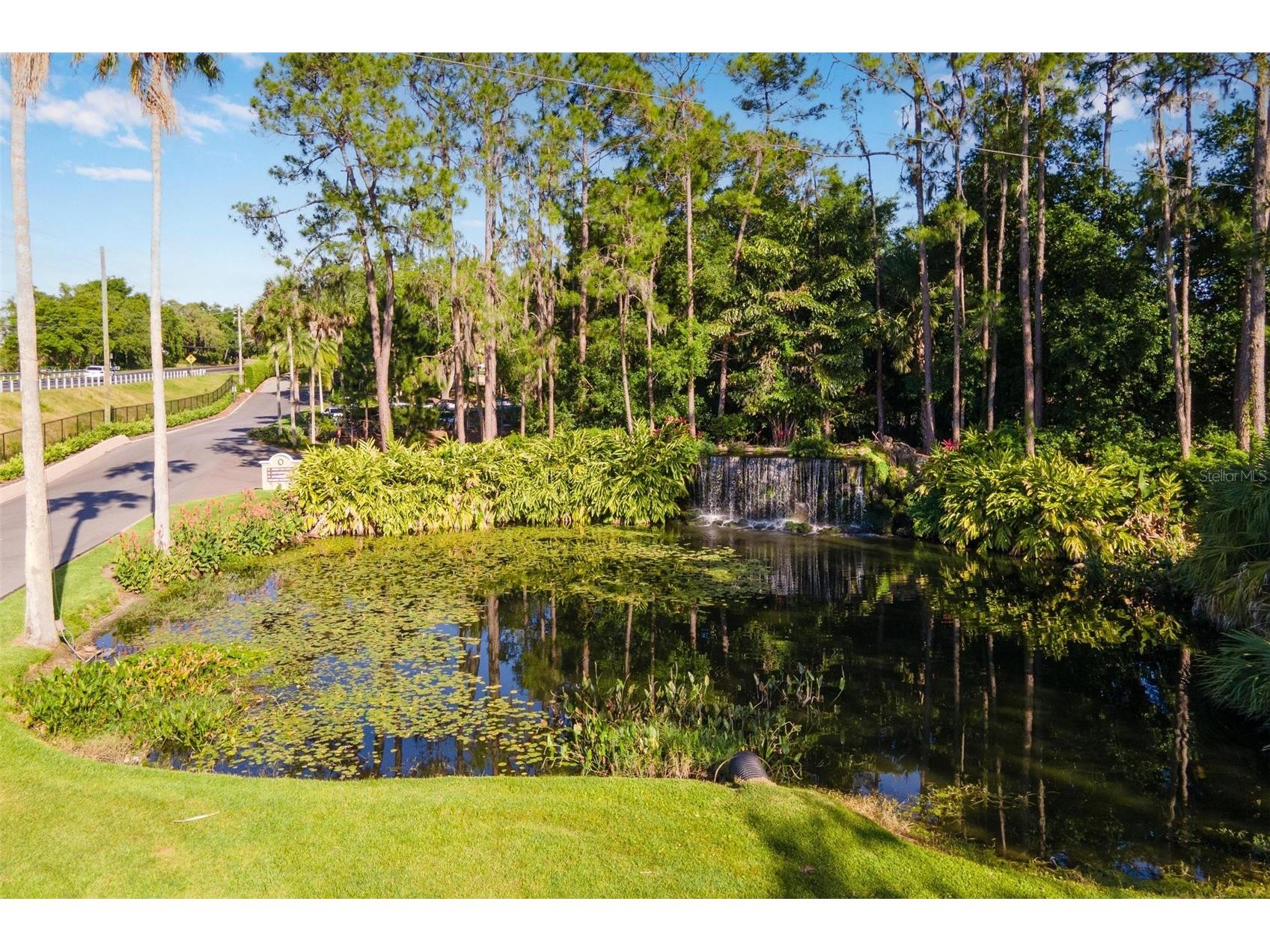 26309 San Gabriel Howey In The Hills FL 34737 G5107786 image53