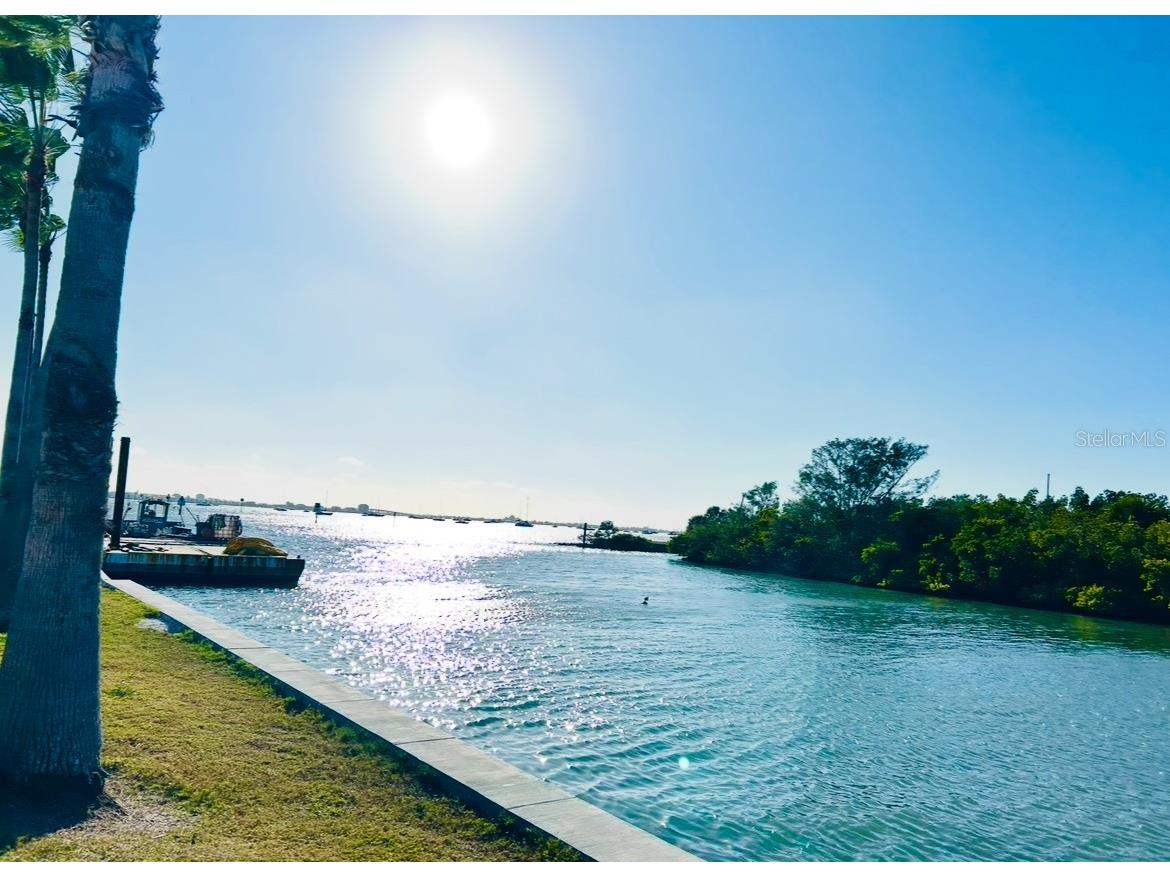 2631 45th Street S Gulfport FL 33711 TB8466896 image15