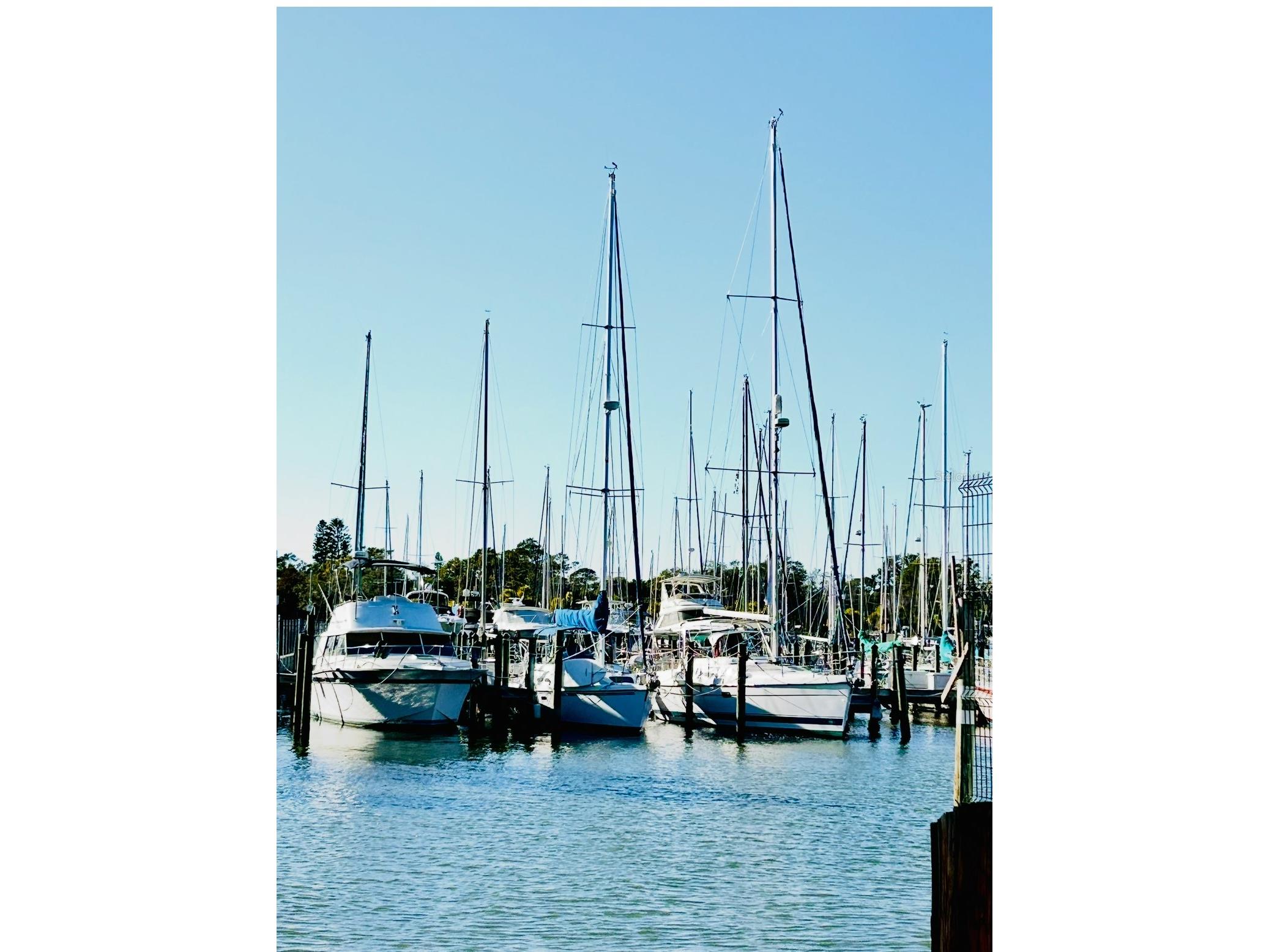 2631 45th Street S Gulfport FL 33711 TB8466896 image16