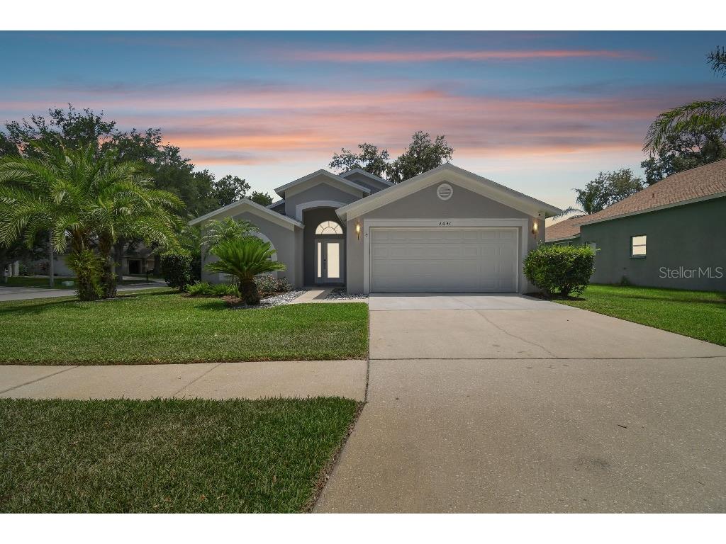 2631 Allwood Avenue Valrico FL 33596 T3529883 image1