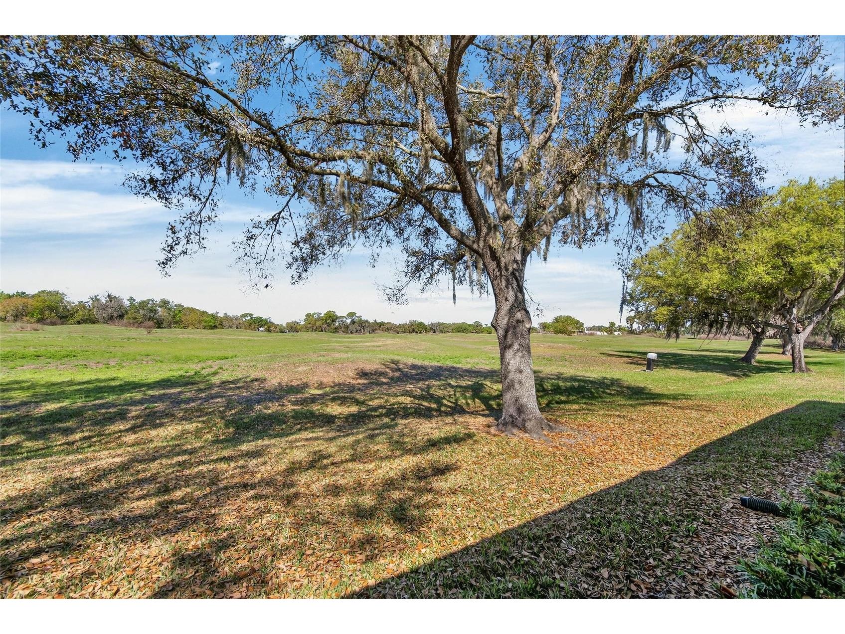 2631 Eagle Greens Drive #16 Plant City FL 33566 TB8501505 image38
