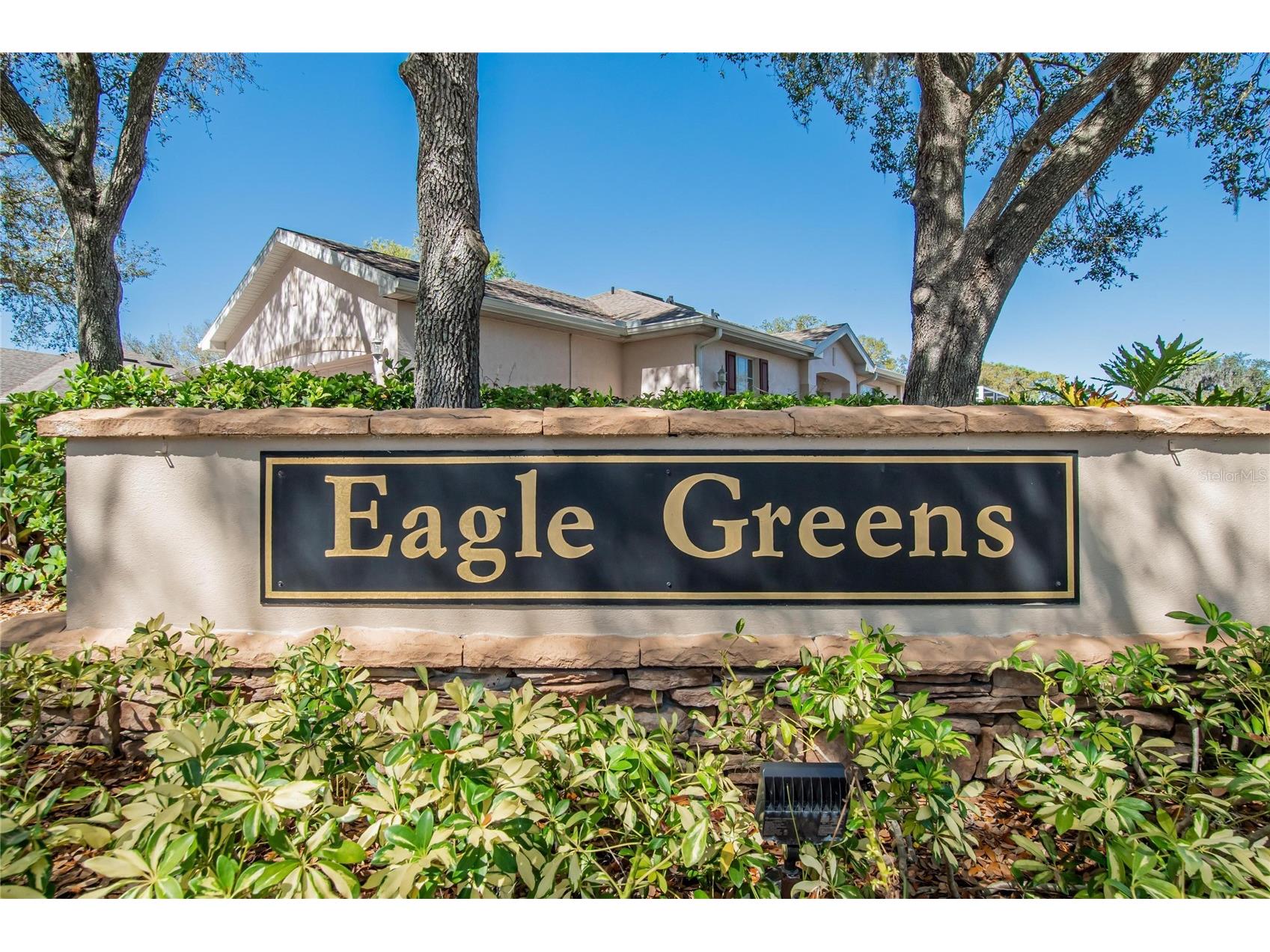 2631 Eagle Greens Drive #16 Plant City FL 33566 TB8501505 image48
