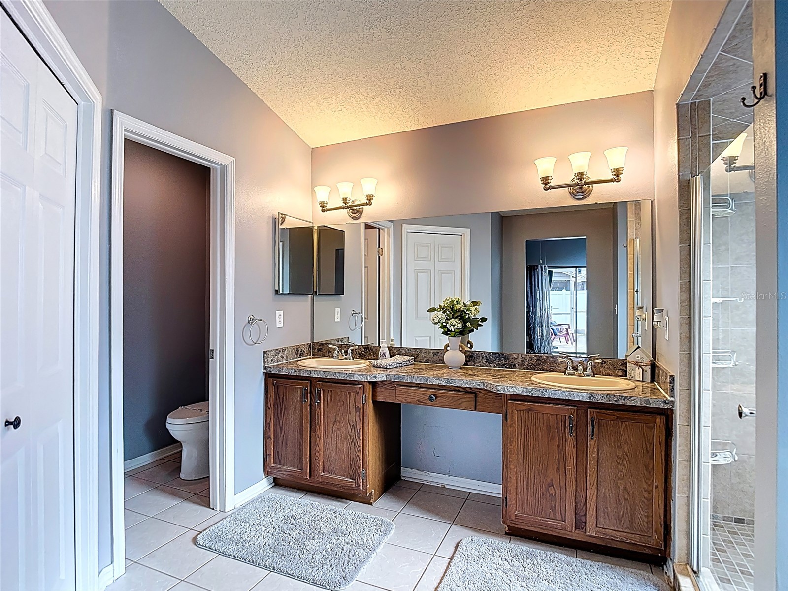 2631 Green Valley Street Valrico FL 33596 TB8494304 image28