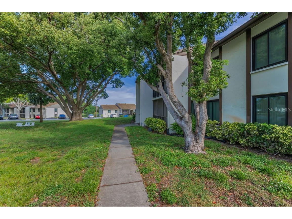 2631 Pine Ridge Way S #D1 Palm Harbor FL 34684 TB8376642 image1