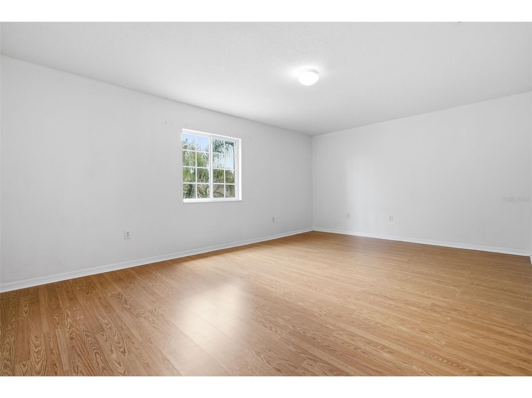 2631 Queen Alberta Drive Valrico FL 33596 TB8503641 image18