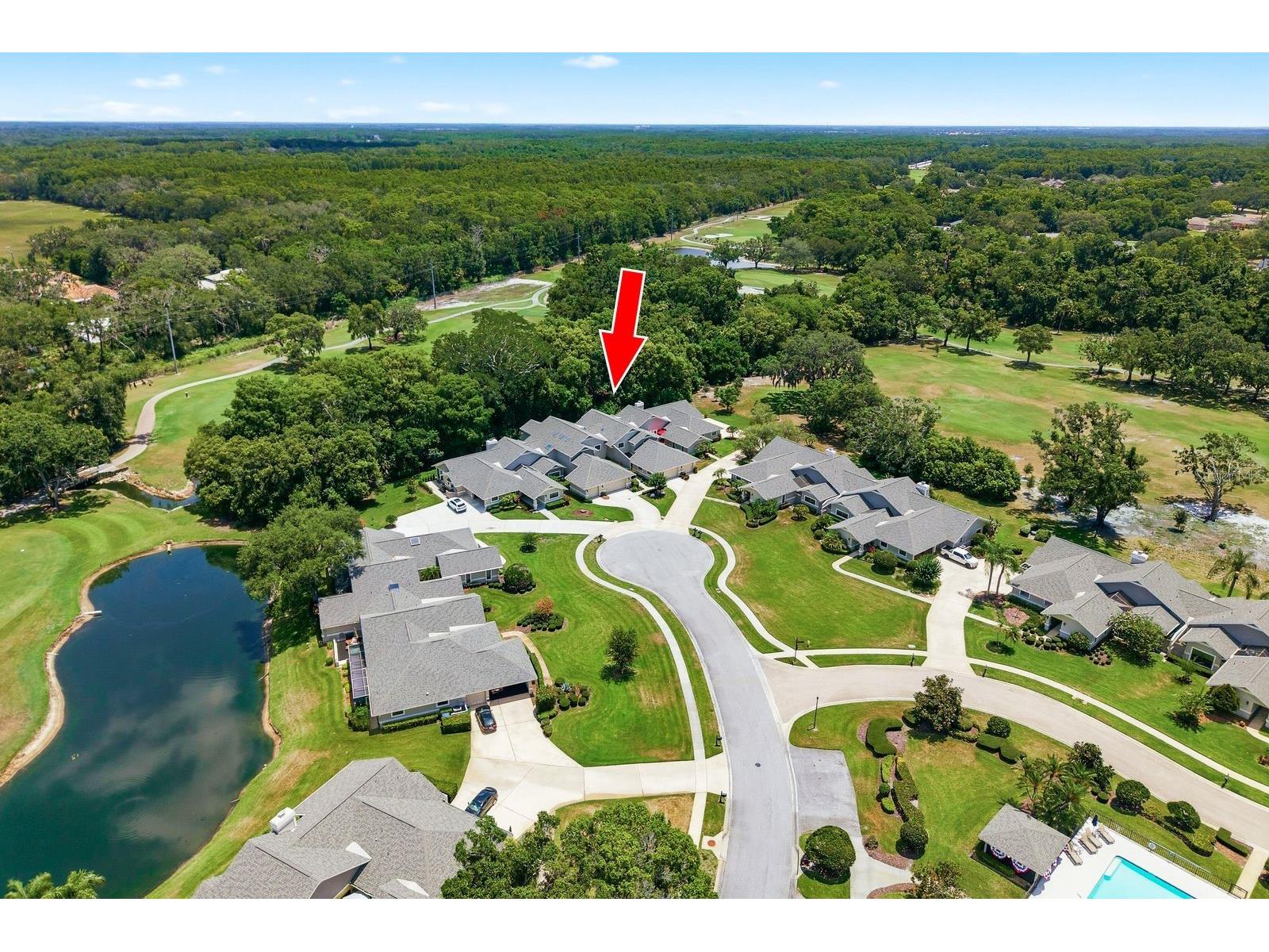 2631 Royal Liverpool Drive Tarpon Springs FL 34688 TB8522152 image5