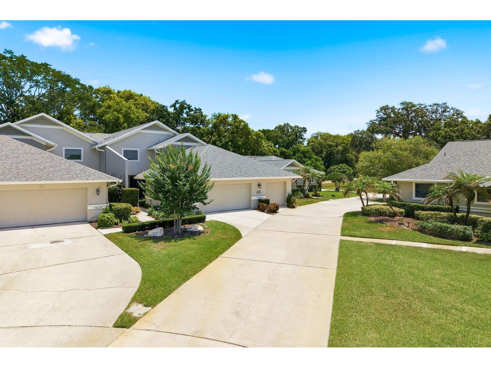 2631 Royal Liverpool Drive Tarpon Springs FL 34688 TB8522152 image53