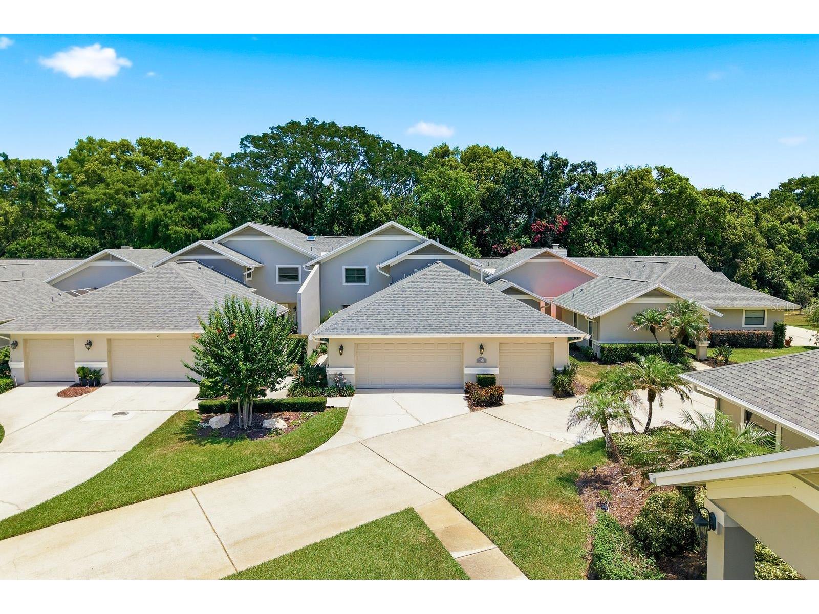 2631 Royal Liverpool Drive Tarpon Springs FL 34688 TB8522152 image54