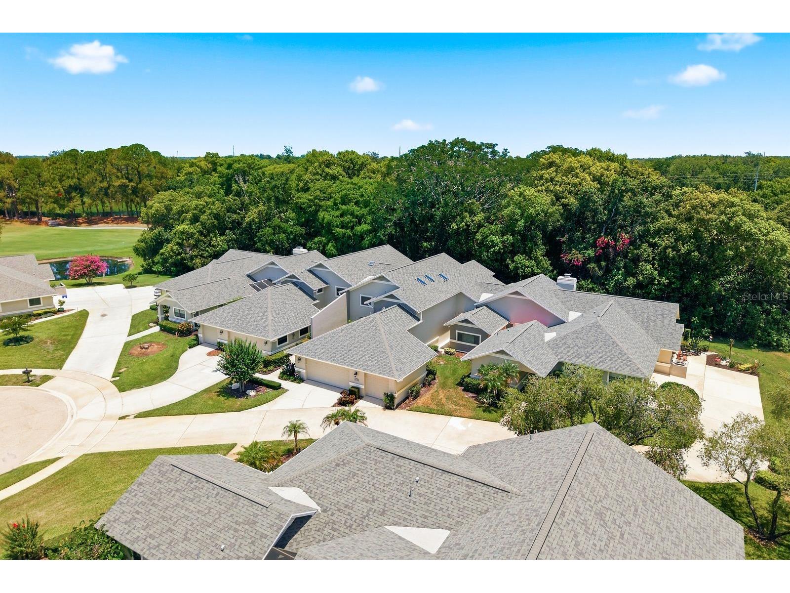 2631 Royal Liverpool Drive Tarpon Springs FL 34688 TB8522152 image59