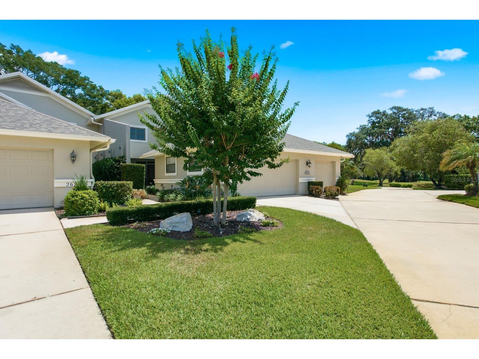 2631 Royal Liverpool Drive Tarpon Springs FL 34688 TB8522152 image60