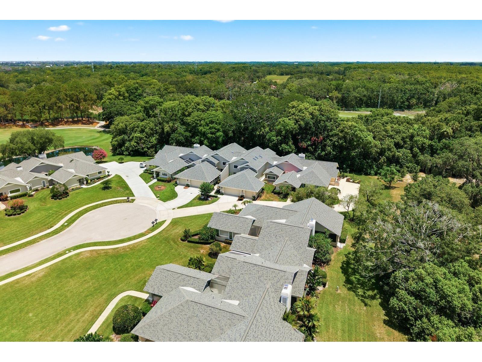 2631 Royal Liverpool Drive Tarpon Springs FL 34688 TB8522152 image61