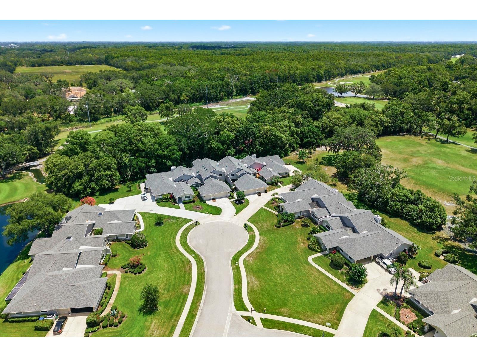 2631 Royal Liverpool Drive Tarpon Springs FL 34688 TB8522152 image62