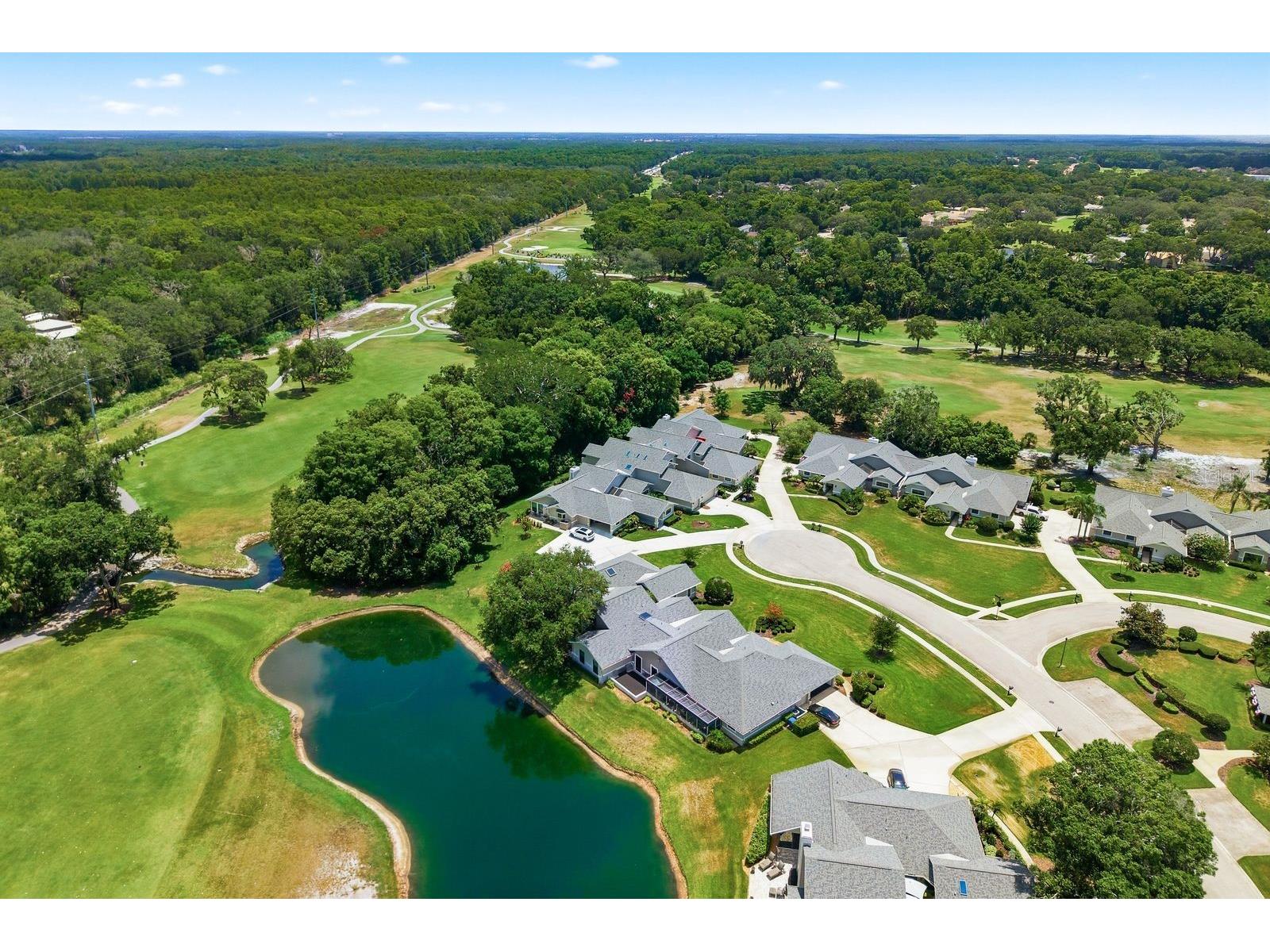 2631 Royal Liverpool Drive Tarpon Springs FL 34688 TB8522152 image63