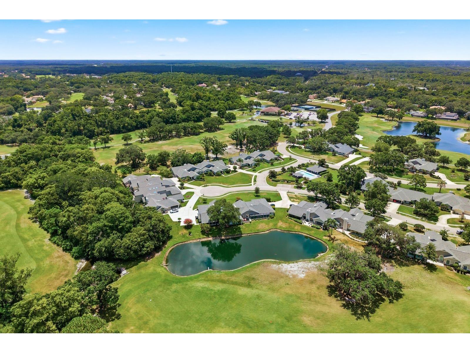 2631 Royal Liverpool Drive Tarpon Springs FL 34688 TB8522152 image64